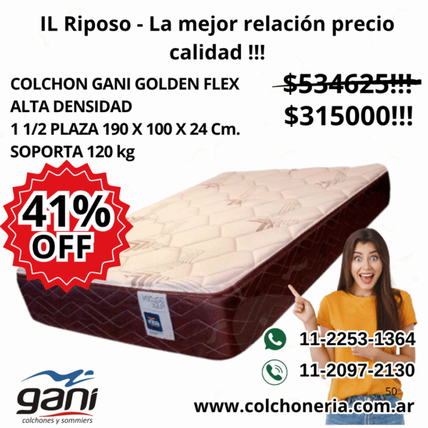 Gani Golden Flex Colchón 1 1/2 plaza 190 x 100 x 24 Cm.