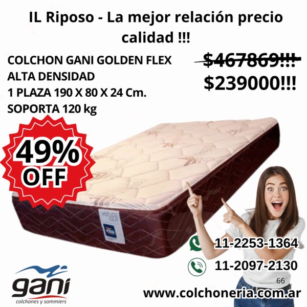 Gani Golden Flex Colchón 1 plaza 190 x 80 x 24 Cm.